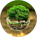 Sakthivel .p profile picture